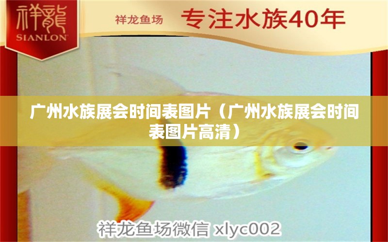 广州水族展会时间表图片（广州水族展会时间表图片高清）