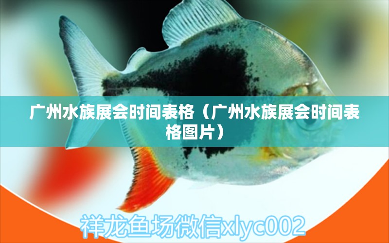 广州水族展会时间表格（广州水族展会时间表格图片）