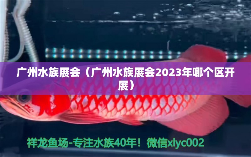 广州水族展会（广州水族展会2023年哪个区开展）