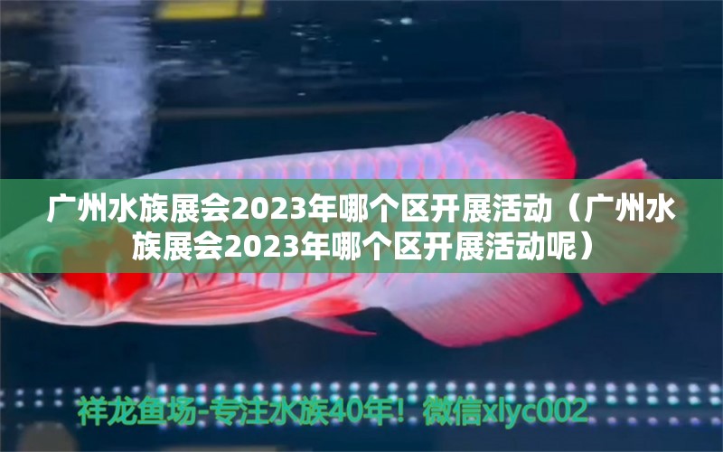 广州水族展会2023年哪个区开展活动（广州水族展会2023年哪个区开展活动呢）