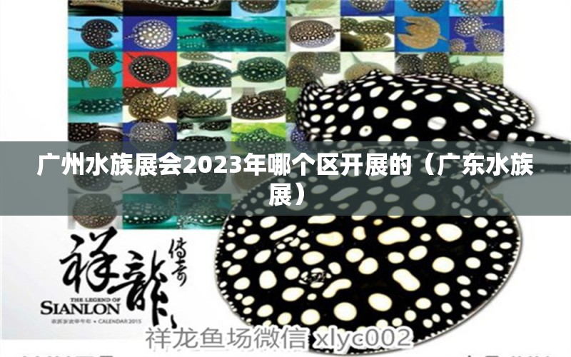 广州水族展会2023年哪个区开展的（广东水族展）