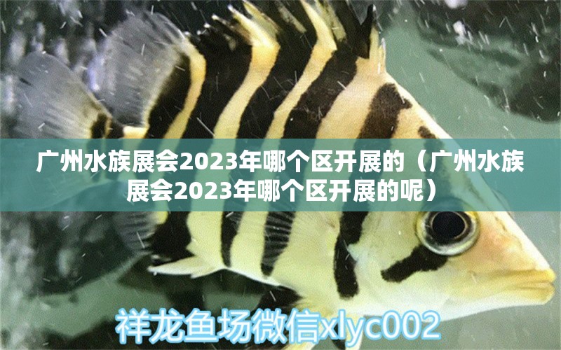 广州水族展会2023年哪个区开展的（广州水族展会2023年哪个区开展的呢）