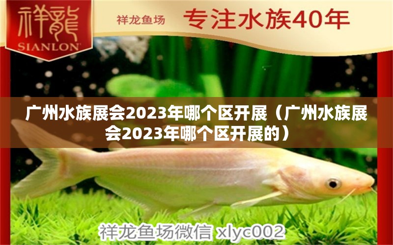 广州水族展会2023年哪个区开展（广州水族展会2023年哪个区开展的） 水族展会