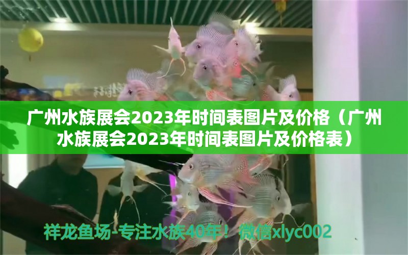 广州水族展会2023年时间表图片及价格（广州水族展会2023年时间表图片及价格表）