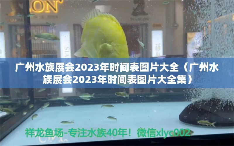 广州水族展会2023年时间表图片大全（广州水族展会2023年时间表图片大全集）