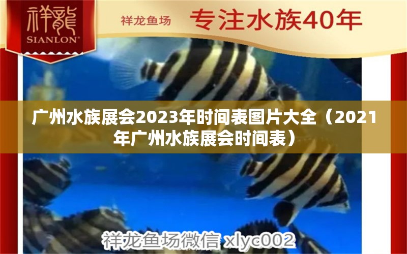 广州水族展会2023年时间表图片大全（2021年广州水族展会时间表）