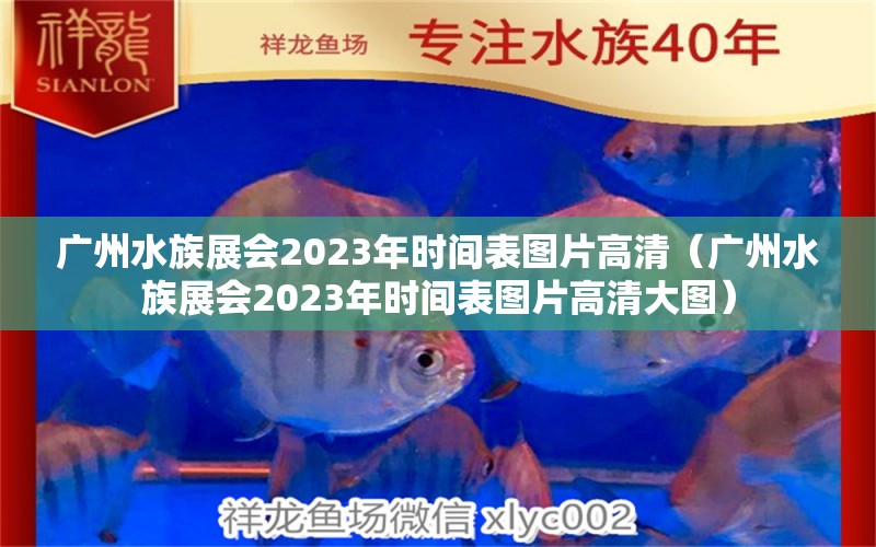 广州水族展会2023年时间表图片高清（广州水族展会2023年时间表图片高清大图）