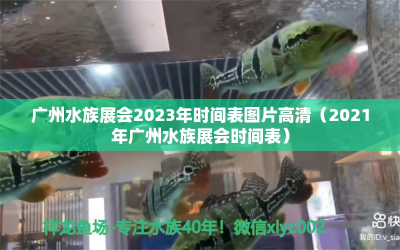 广州水族展会2023年时间表图片高清（2021年广州水族展会时间表）