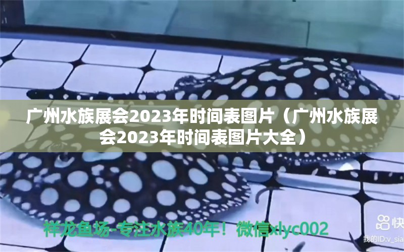 广州水族展会2023年时间表图片（广州水族展会2023年时间表图片大全）