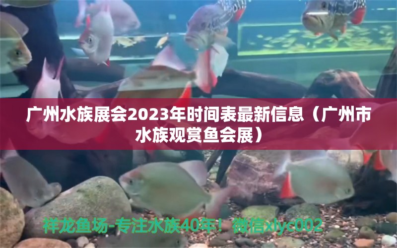 广州水族展会2023年时间表最新信息（广州市水族观赏鱼会展）