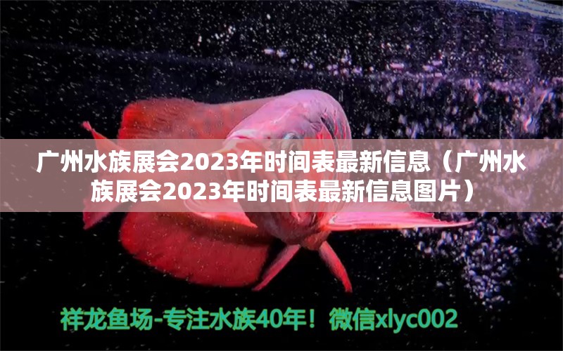 广州水族展会2023年时间表最新信息（广州水族展会2023年时间表最新信息图片）