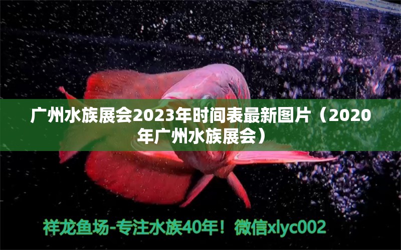 广州水族展会2023年时间表最新图片（2020年广州水族展会） 水族展会