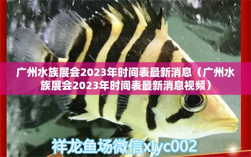 广州水族展会2023年时间表最新消息（广州水族展会2023年时间表最新消息视频）