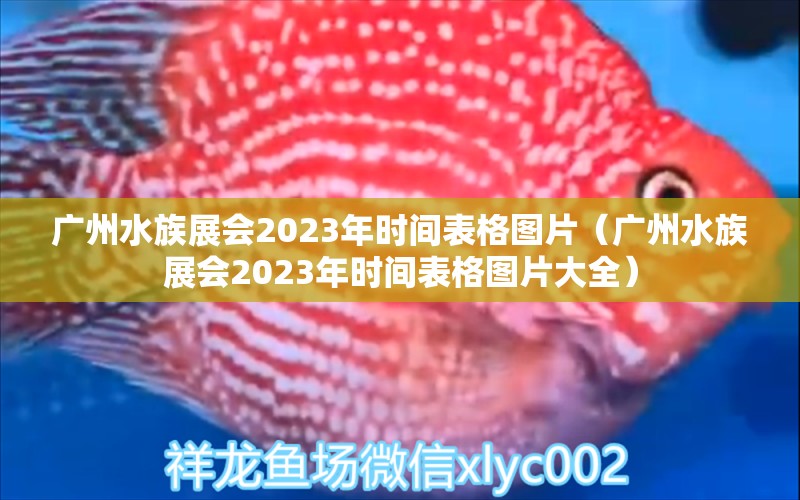 广州水族展会2023年时间表格图片（广州水族展会2023年时间表格图片大全） 水族展会