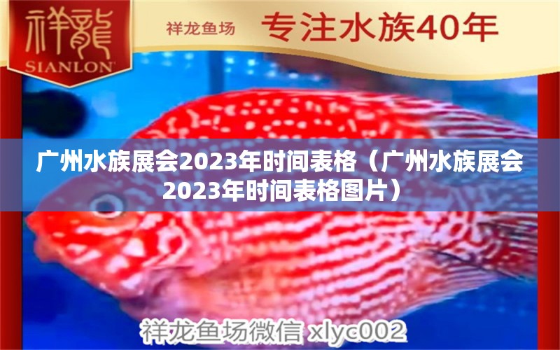 广州水族展会2023年时间表格（广州水族展会2023年时间表格图片）