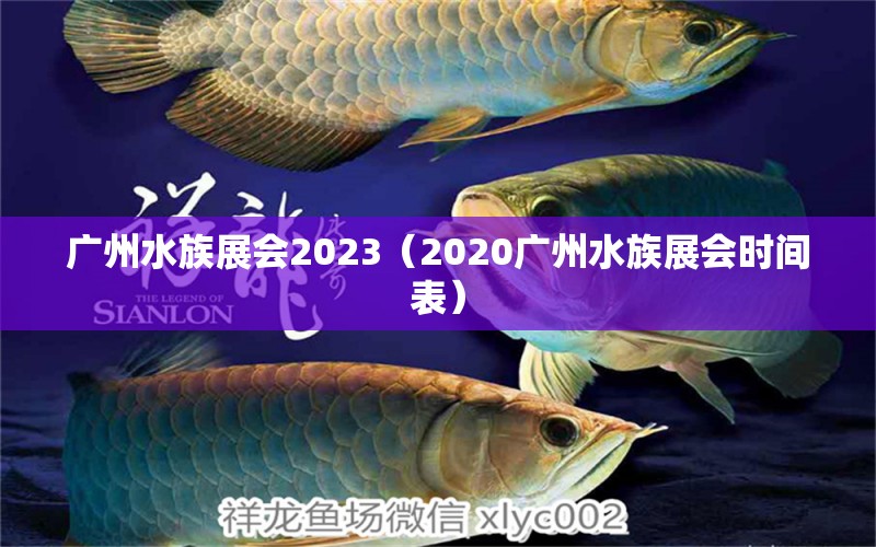 广州水族展会2023（2020广州水族展会时间表） 水族展会