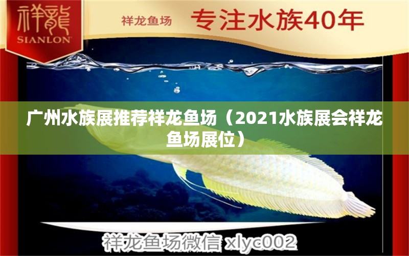 广州水族展推荐祥龙鱼场（2021水族展会祥龙鱼场展位）