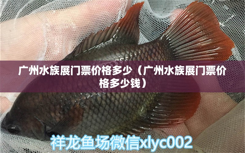 广州水族展门票价格多少（广州水族展门票价格多少钱）