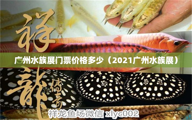 广州水族展门票价格多少（2021广州水族展） 水族展会