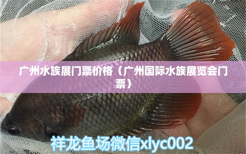 广州水族展门票价格（广州国际水族展览会门票） 水族展会