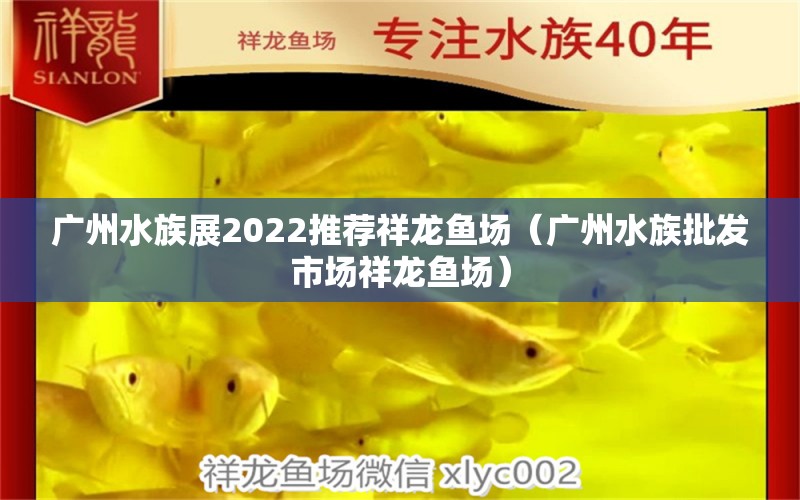 广州水族展2022推荐祥龙鱼场（广州水族批发市场祥龙鱼场） 水族展会