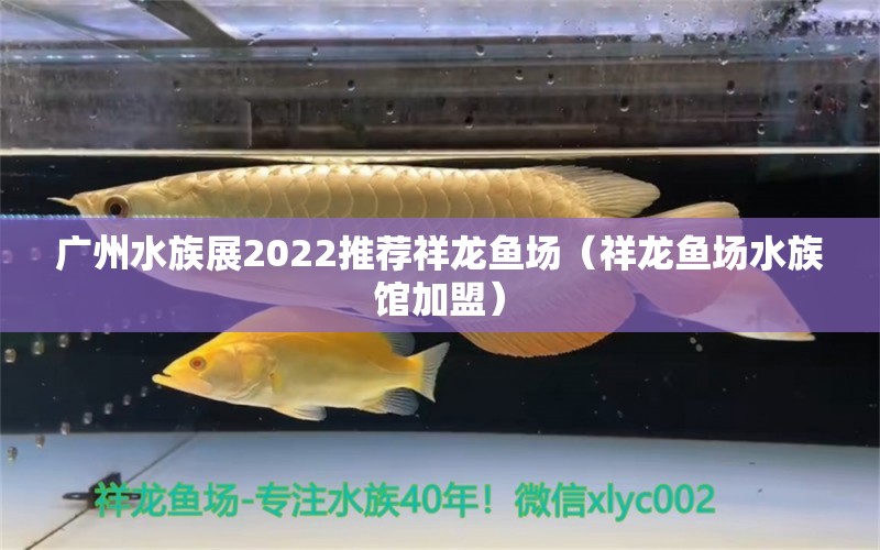 广州水族展2022推荐祥龙鱼场（祥龙鱼场水族馆加盟） 水族展会