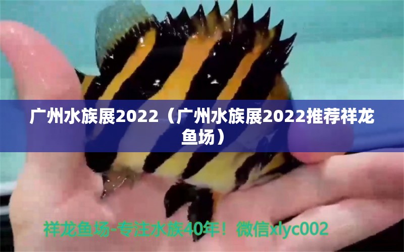 广州水族展2022（广州水族展2022推荐祥龙鱼场） 水族展会