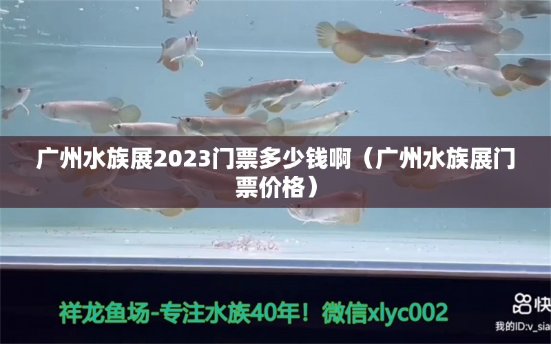 广州水族展2023门票多少钱啊（广州水族展门票价格）