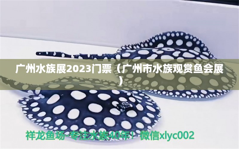 广州水族展2023门票（广州市水族观赏鱼会展）