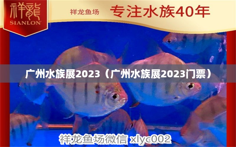 广州水族展2023（广州水族展2023门票）