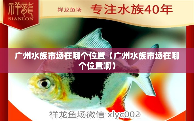 广州水族市场在哪个位置（广州水族市场在哪个位置啊）