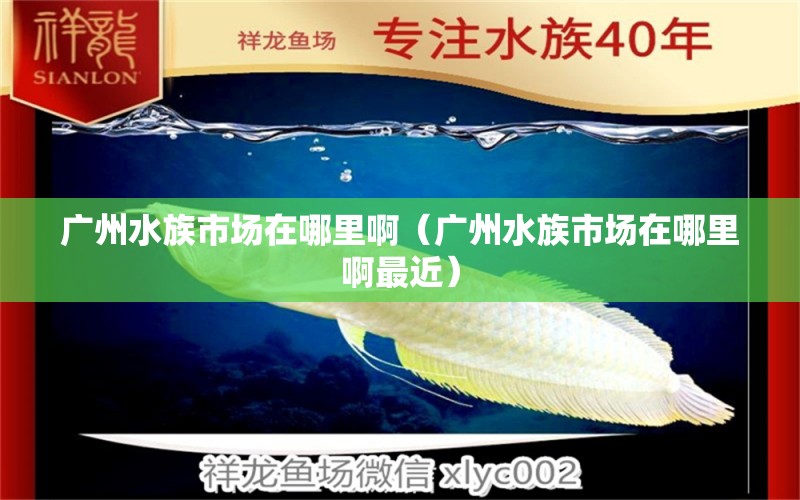 广州水族市场在哪里啊（广州水族市场在哪里啊最近） 广州水族批发市场