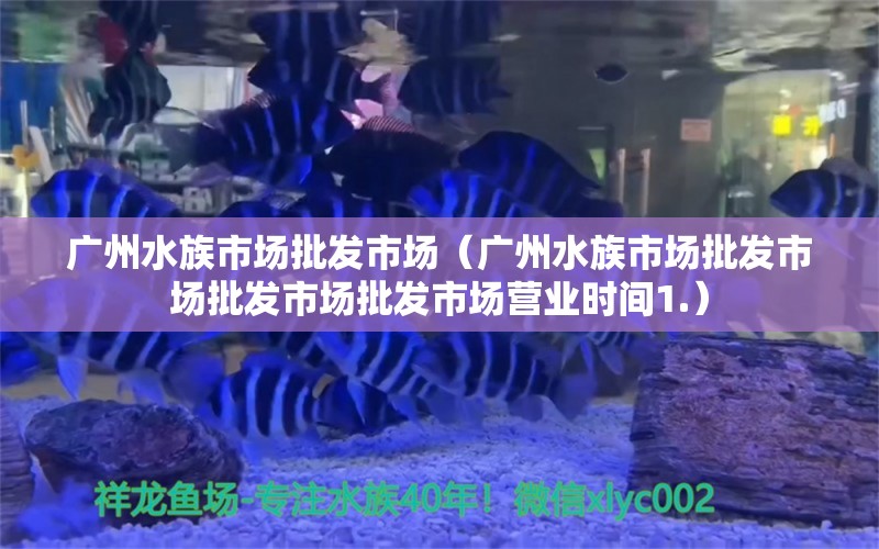 广州水族市场批发市场（广州水族市场批发市场批发市场批发市场营业时间1.） 博特水族 第2张