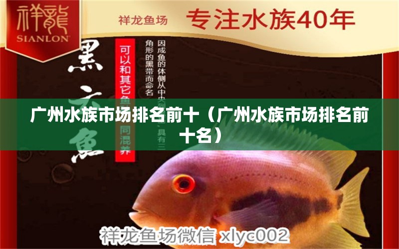 广州水族市场排名前十（广州水族市场排名前十名） 广州水族批发市场