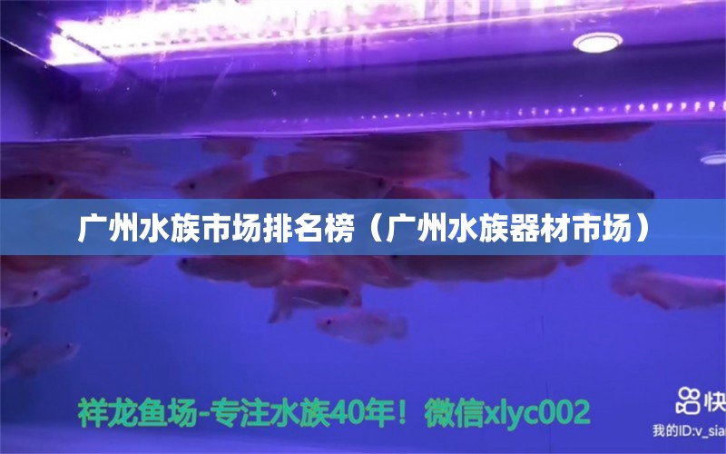 广州水族市场排名榜（广州水族器材市场）