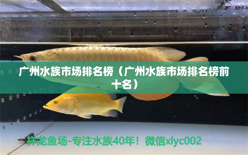 广州水族市场排名榜（广州水族市场排名榜前十名）