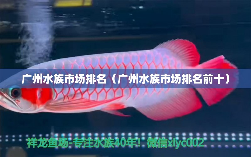 广州水族市场排名（广州水族市场排名前十） 广州水族批发市场