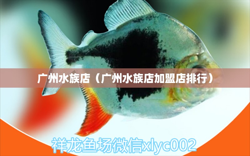 广州水族店（广州水族店加盟店排行）