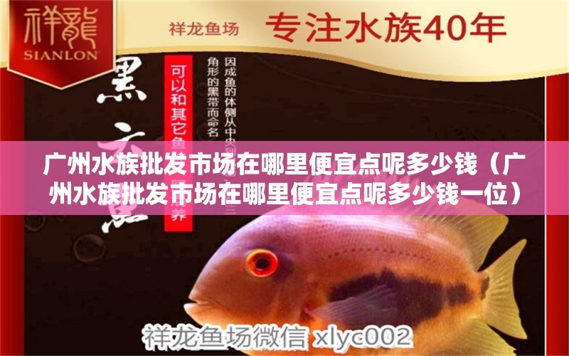 广州水族批发市场在哪里便宜点呢多少钱（广州水族批发市场在哪里便宜点呢多少钱一位）