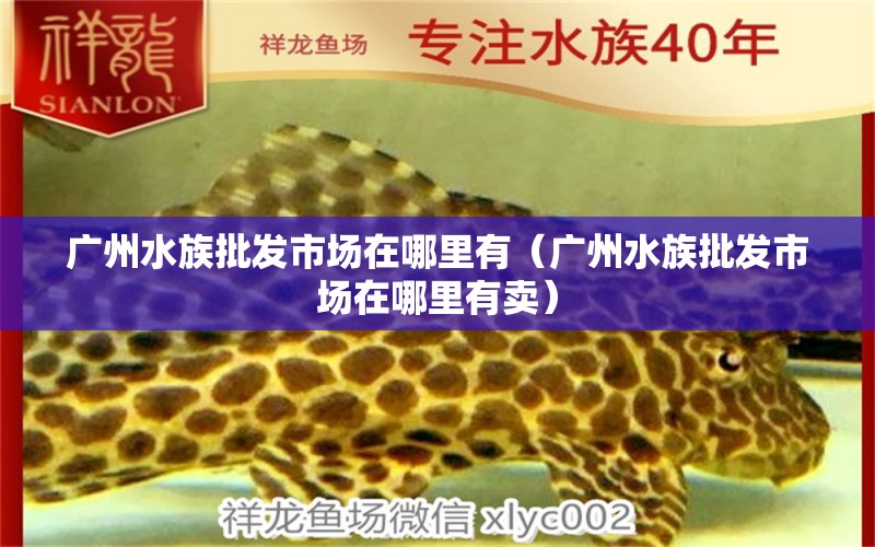 广州水族批发市场在哪里有（广州水族批发市场在哪里有卖）