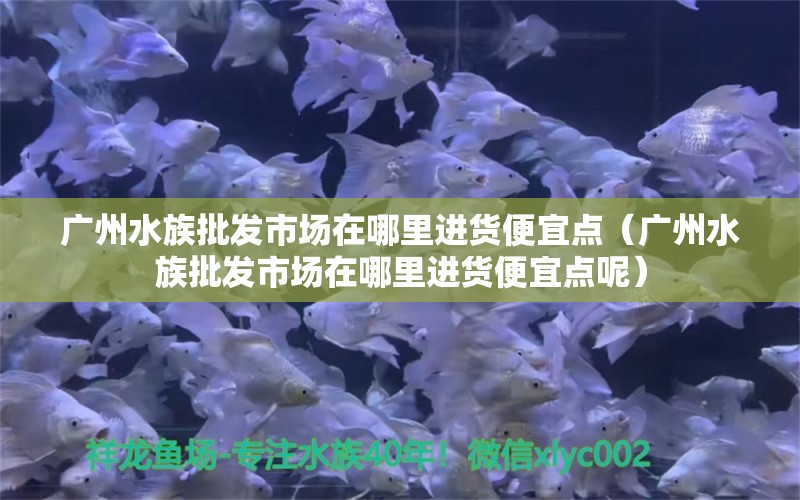 广州水族批发市场在哪里进货便宜点（广州水族批发市场在哪里进货便宜点呢） 观赏鱼水族批发市场