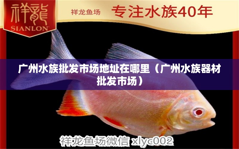 广州水族批发市场地址在哪里（广州水族器材批发市场） 观赏鱼水族批发市场