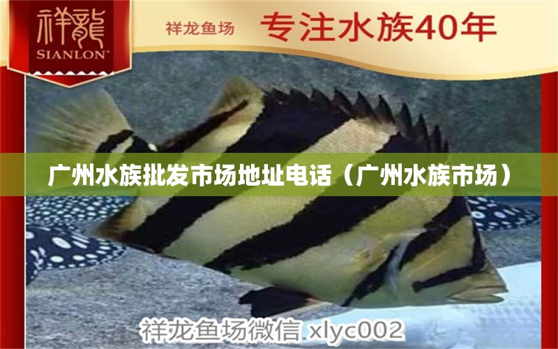 广州水族批发市场地址电话（广州水族市场）