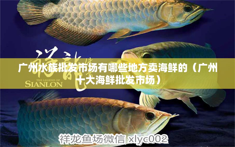 广州水族批发市场有哪些地方卖海鲜的（广州十大海鲜批发市场） 鱼缸风水 第2张