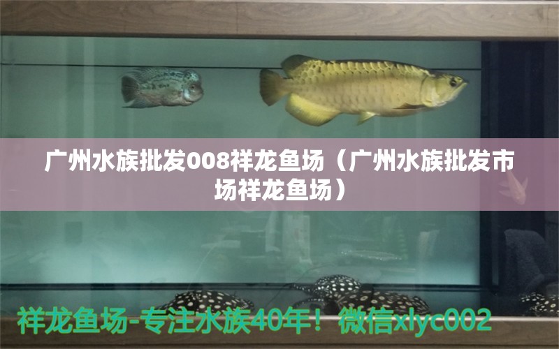 广州水族批发008祥龙鱼场（广州水族批发市场祥龙鱼场）