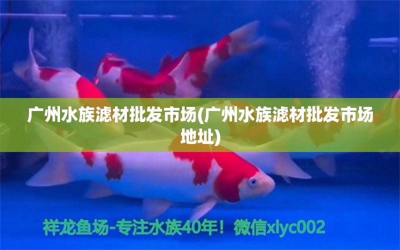 广州水族滤材批发市场(广州水族滤材批发市场地址)