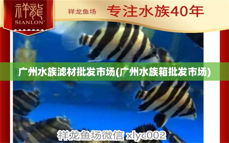 广州水族滤材批发市场(广州水族箱批发市场)