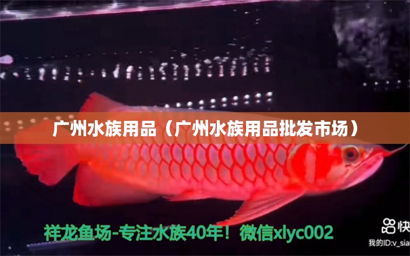 广州水族用品（广州水族用品批发市场）