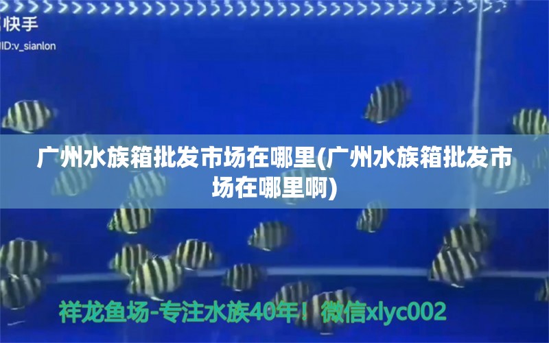 广州水族箱批发市场在哪里(广州水族箱批发市场在哪里啊) 鱼缸/水族箱