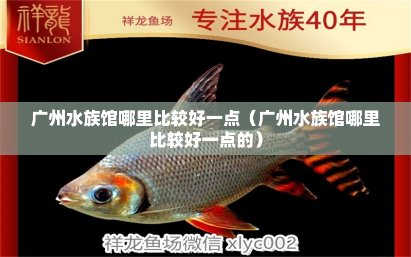 广州水族馆哪里比较好一点（广州水族馆哪里比较好一点的） 广州水族批发市场